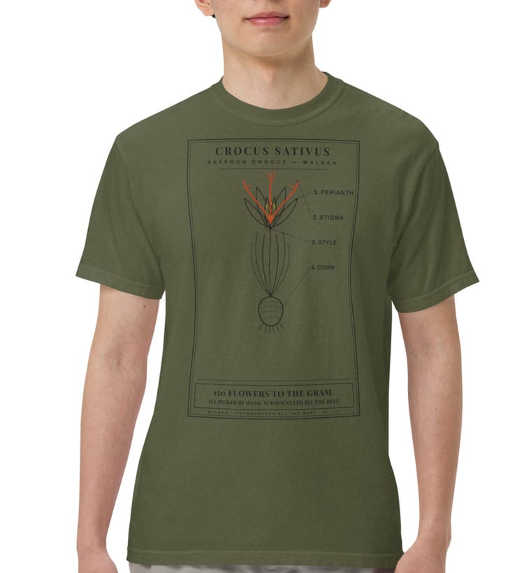 THREE THREADS crocus tee in hemp, worn