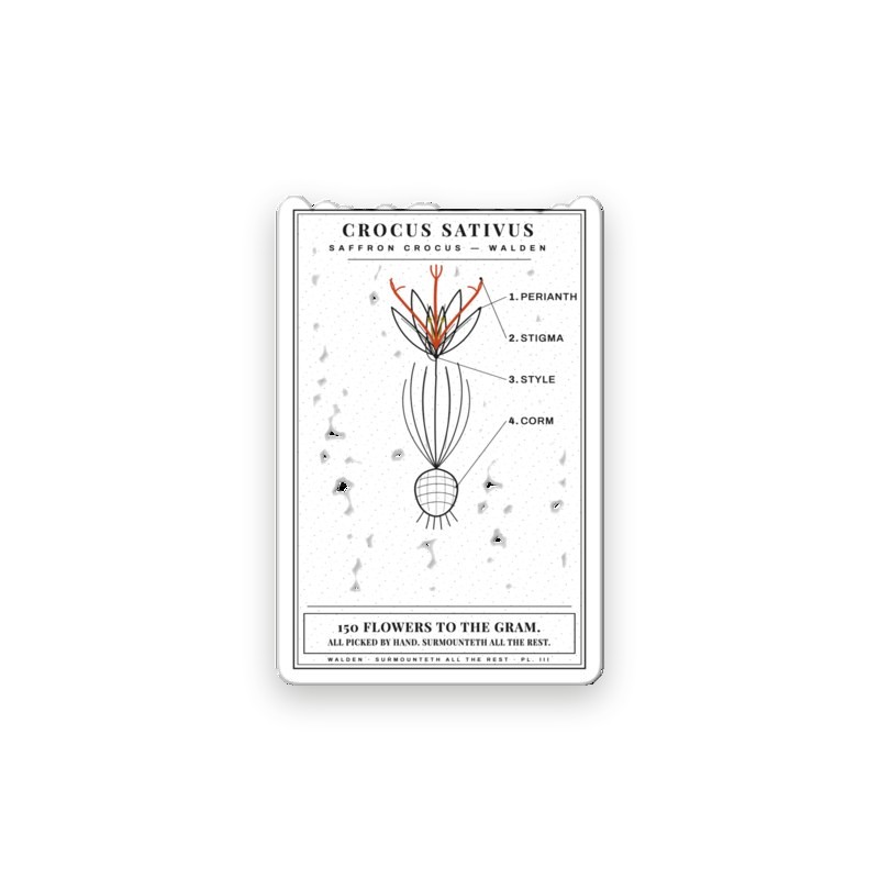 Crocus sticker